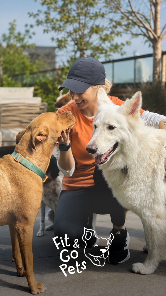 Fit and Go Pet case study