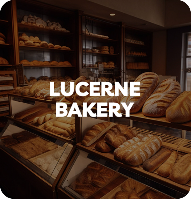 Bakery showing various types of bread in it