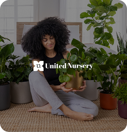 SEO Consulting Services 1