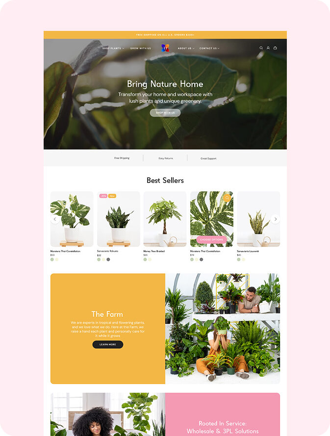 Shopify SEO Services