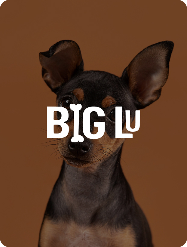 Technical SEO Services 2