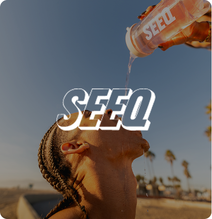 SEEQ Supply client of Solved Puzzle eCommerce Web Design Company in Miami Fl